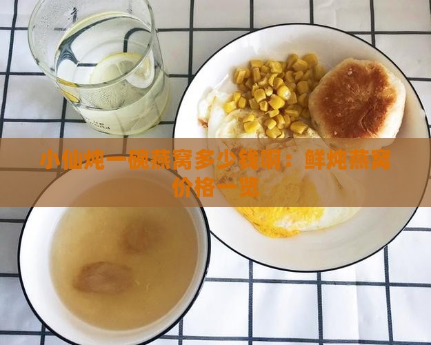 小仙炖一碗燕窝多少钱啊：鲜炖燕窝价格一览