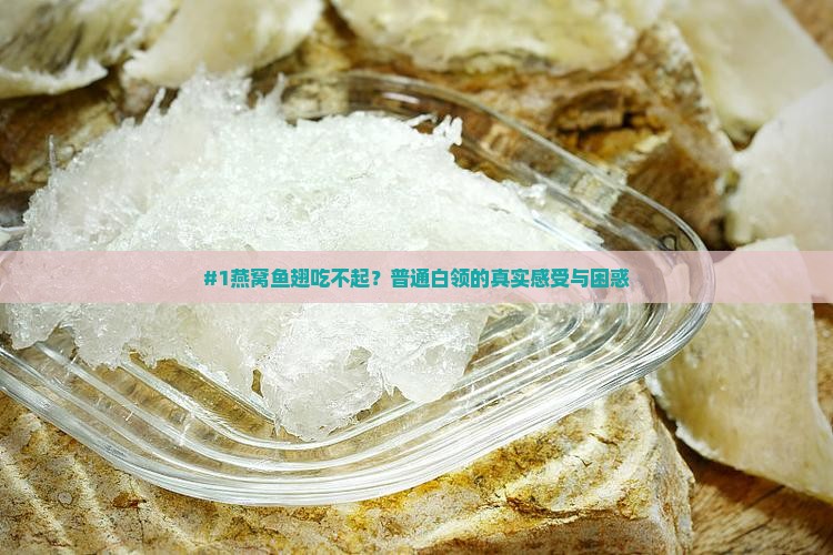 #1燕窝鱼翅吃不起？普通白领的真实感受与困惑