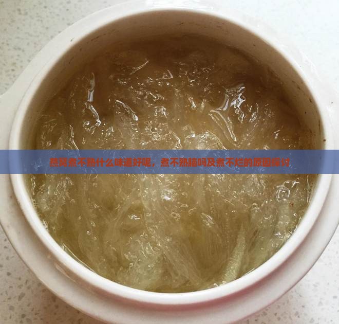 燕窝煮不熟什么味道好呢，煮不熟脑吗及煮不烂的原因探讨