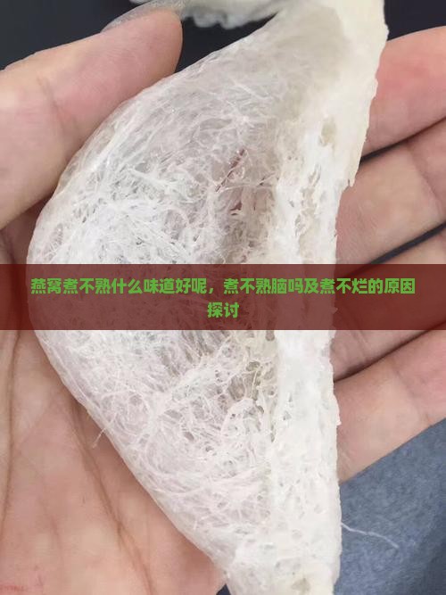 燕窝煮不熟什么味道好呢，煮不熟脑吗及煮不烂的原因探讨