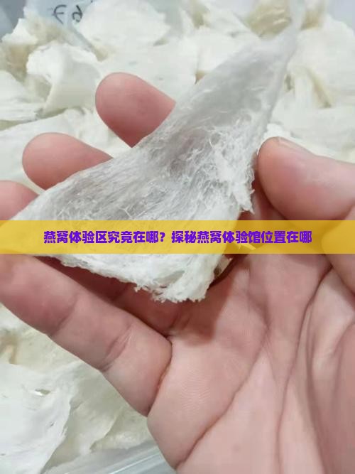 燕窝体验区究竟在哪？探秘燕窝体验馆位置在哪