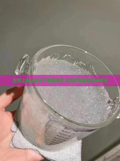 世界上什么燕子产燕窝多及其燕窝可食用品种探讨