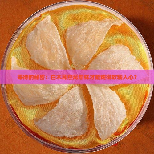 等待的秘密：白木耳燕窝怎样才能炖得软糯入心？