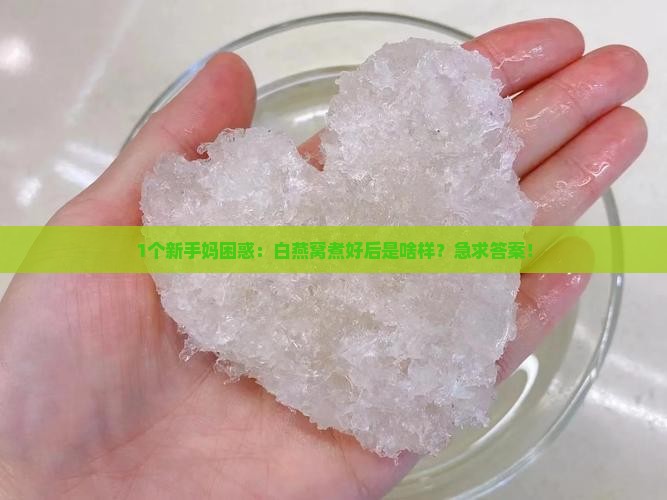 1个新手妈困惑：白燕窝煮好后是啥样？急求答案！