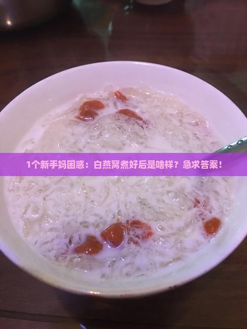 1个新手妈困惑：白燕窝煮好后是啥样？急求答案！