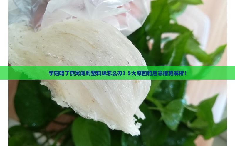 孕妇吃了燕窝闻到塑料味怎么办？5大原因和应急措施解析！