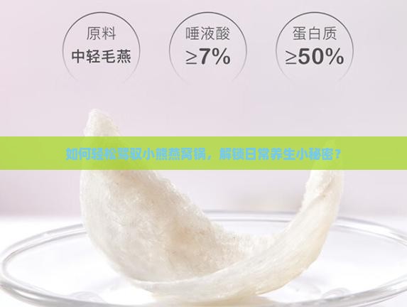 如何轻松驾驭小熊燕窝锅，解锁日常养生小秘密？