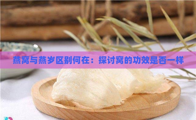 燕窝与燕岁区别何在：探讨窝的功效是否一样
