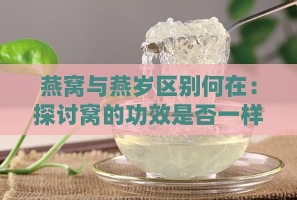燕窝与燕岁区别何在：探讨窝的功效是否一样