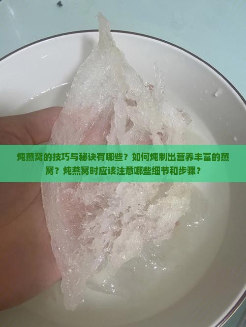 炖燕窝的技巧与秘诀有哪些？如何炖制出营养丰富的燕窝？炖燕窝时应该注意哪些细节和步骤？