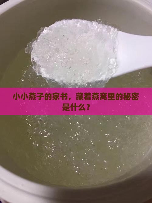 小小燕子的家书，藏着燕窝里的秘密是什么？