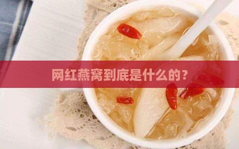 网红燕窝到底是什么的？