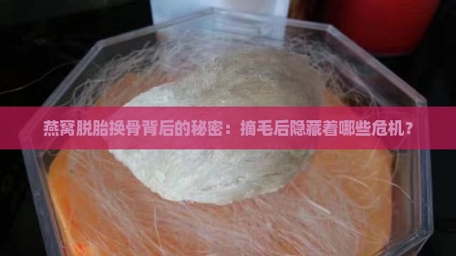 燕窝脱胎换骨背后的秘密：摘毛后隐藏着哪些危机？