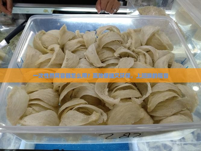 一次性燕窝容器怎么用？高效便捷又环保，上班族的福音