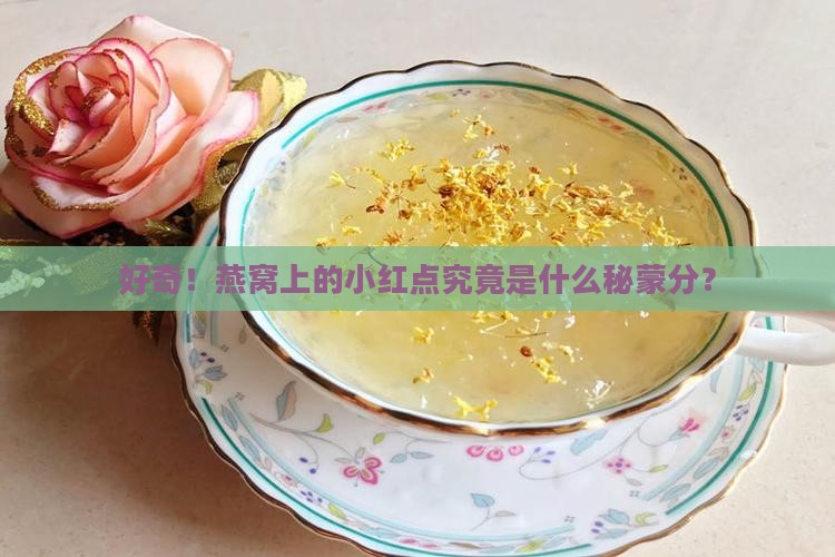 好奇！燕窝上的小红点究竟是什么秘蒙分？