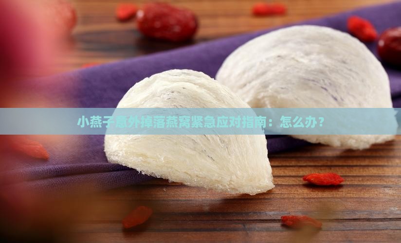 小燕子意外掉落燕窝紧急应对指南：怎么办？