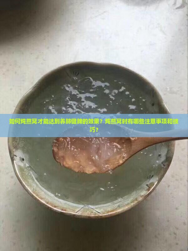 如何炖燕窝才能达到养肺健脾的效果？炖燕窝时有哪些注意事项和技巧？