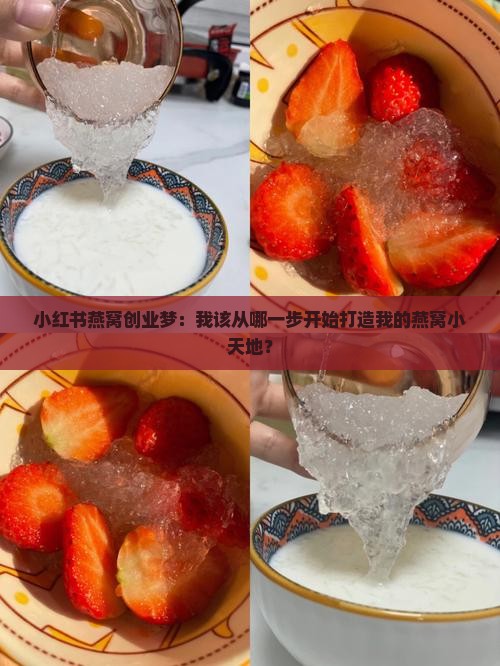 小红书燕窝创业梦：我该从哪一步开始打造我的燕窝小天地？