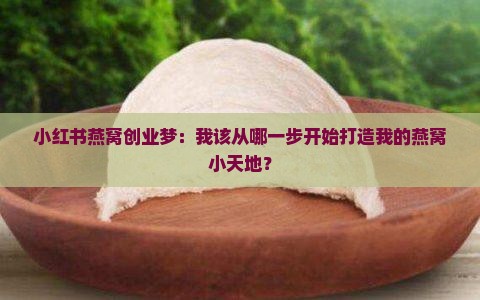 小红书燕窝创业梦：我该从哪一步开始打造我的燕窝小天地？