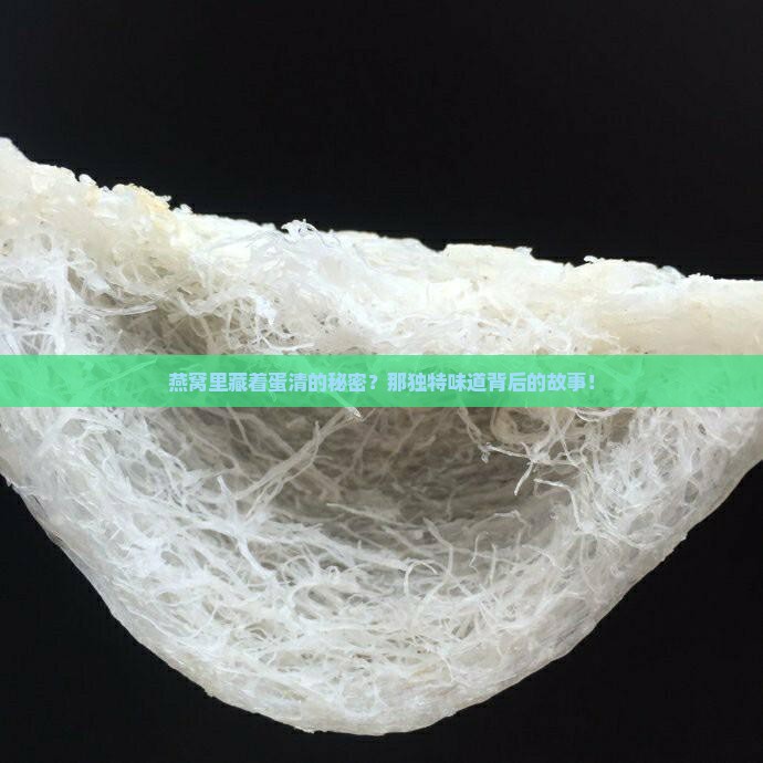 燕窝里藏着蛋清的秘密？那独特味道背后的故事！