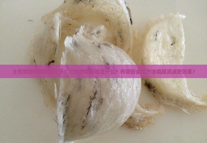 土燕窝如何帮助瘦肚子？它的燃脂原理是什么？有哪些食用方法能提高减肥效果？