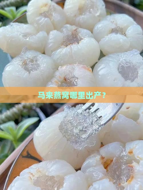 马来燕窝哪里出产？