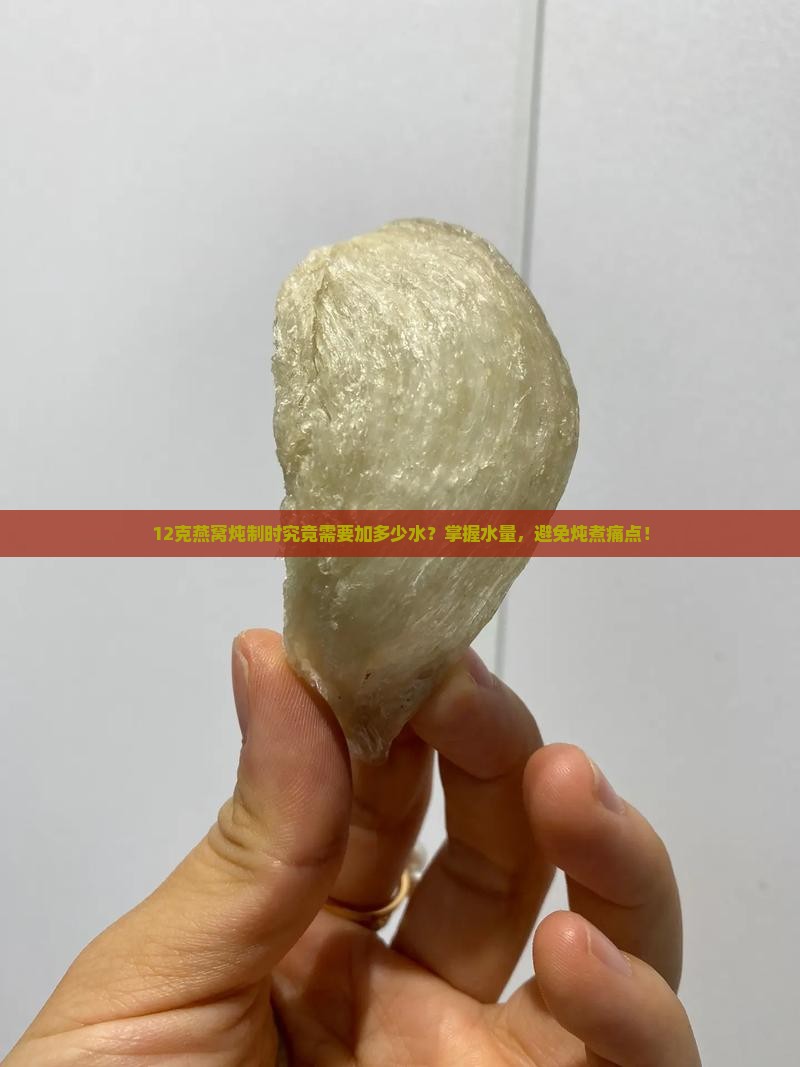 12克燕窝炖制时究竟需要加多少水？掌握水量，避免炖煮痛点！