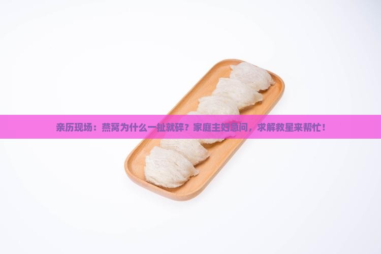 亲历现场：燕窝为什么一扯就碎？家庭主妇急问，求解救星来帮忙！