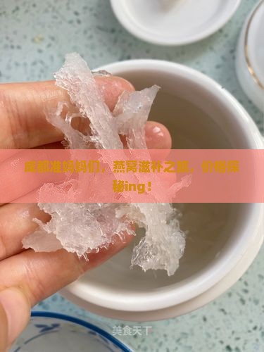 成都准妈妈们，燕窝滋补之旅，价格探秘ing！