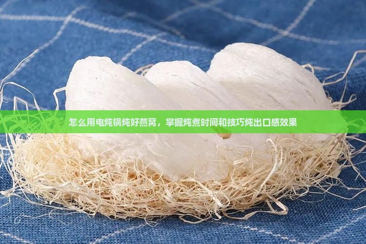 怎么用电炖锅炖好燕窝，掌握炖煮时间和技巧炖出口感效果