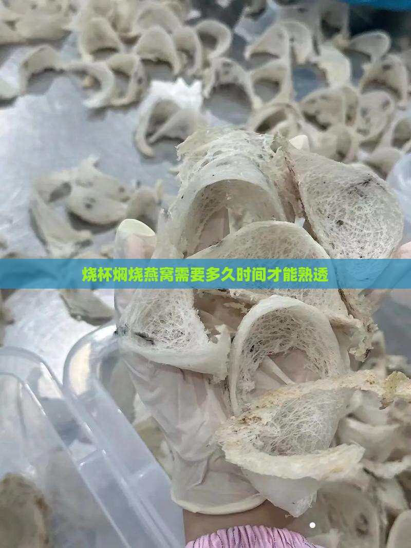 烧杯焖烧燕窝需要多久时间才能熟透