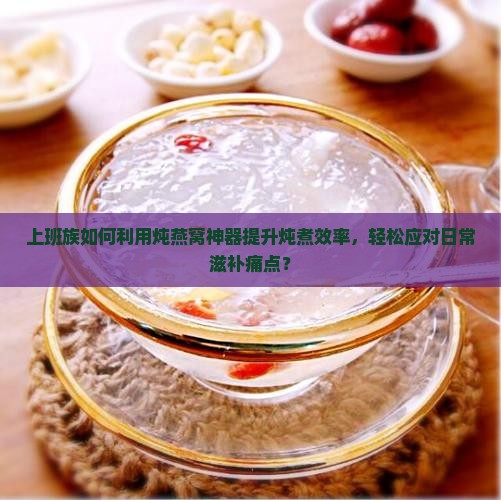 上班族如何利用炖燕窝神器提升炖煮效率，轻松应对日常滋补痛点？