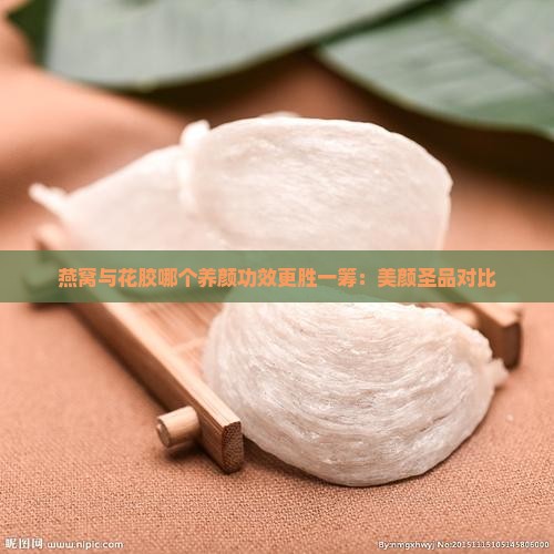 燕窝与花胶哪个养颜功效更胜一筹：美颜圣品对比