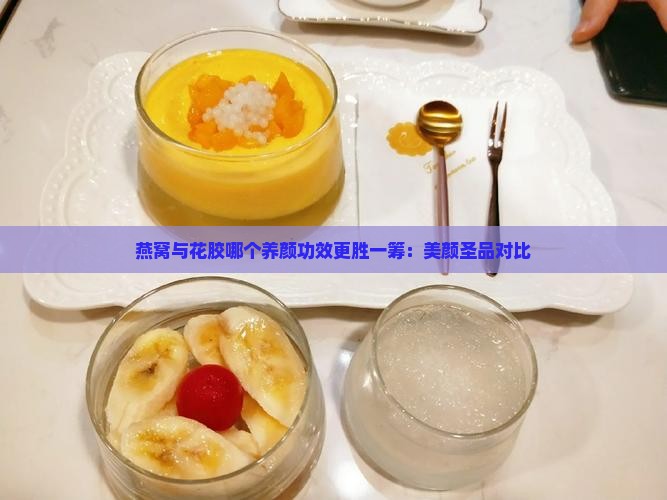 燕窝与花胶哪个养颜功效更胜一筹：美颜圣品对比