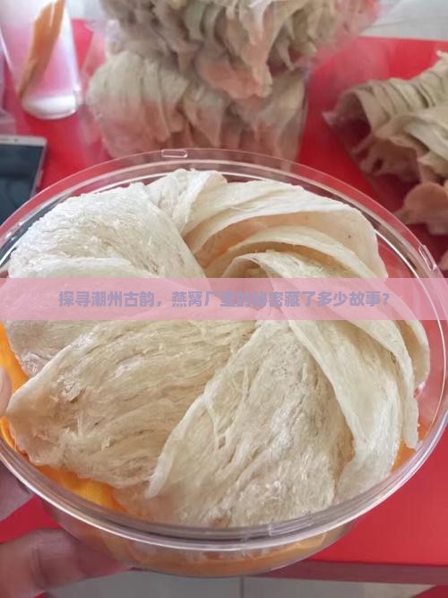 探寻潮州古韵，燕窝厂里的秘密藏了多少故事？