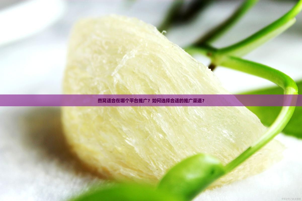 燕窝适合在哪个平台推广？如何选择合适的推广渠道？