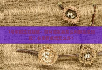 1号家庭主妇疑惑：燕窝泡发后怎么判断加没加胶？心里有点慌怎么办？