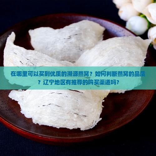 在哪里可以买到优质的溯源燕窝？如何判断燕窝的品质？辽宁地区有推荐的购买渠道吗？
