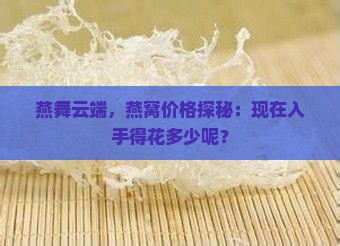 燕舞云端，燕窝价格探秘：现在入手得花多少呢？