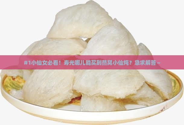 #1小仙女必看！寿光哪儿能买到燕窝小仙炖？急求解答～