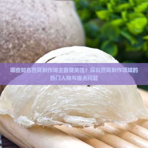 哪些知名燕窝制作博主备受关注？探究燕窝制作领域的热门人物与痛点问题