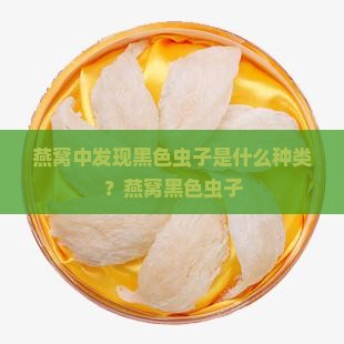燕窝中发现黑色虫子是什么种类？燕窝黑色虫子