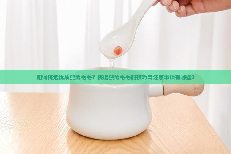 如何挑选优质燕窝毛毛？挑选燕窝毛毛的技巧与注意事项有哪些？