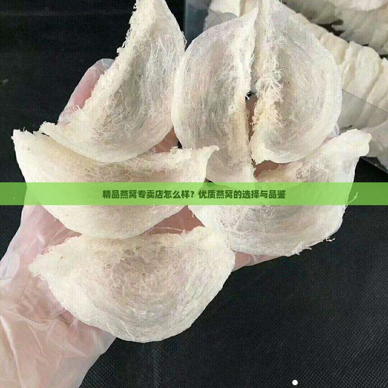 精品燕窝专卖店怎么样？优质燕窝的选择与品鉴