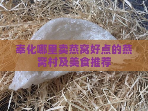 奉化哪里卖燕窝好点的燕窝村及美食推荐