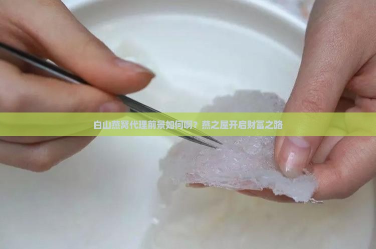 白山燕窝代理前景如何啊？燕之屋开启财富之路