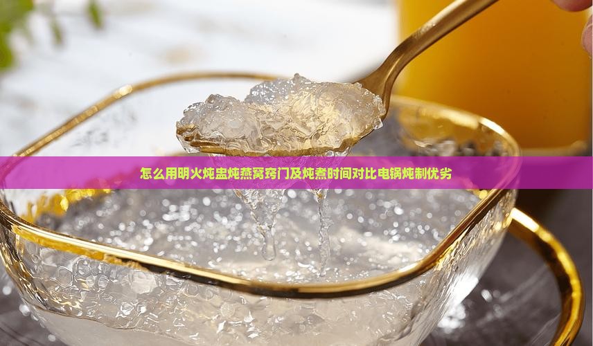 怎么用明火炖盅炖燕窝窍门及炖煮时间对比电锅炖制优劣