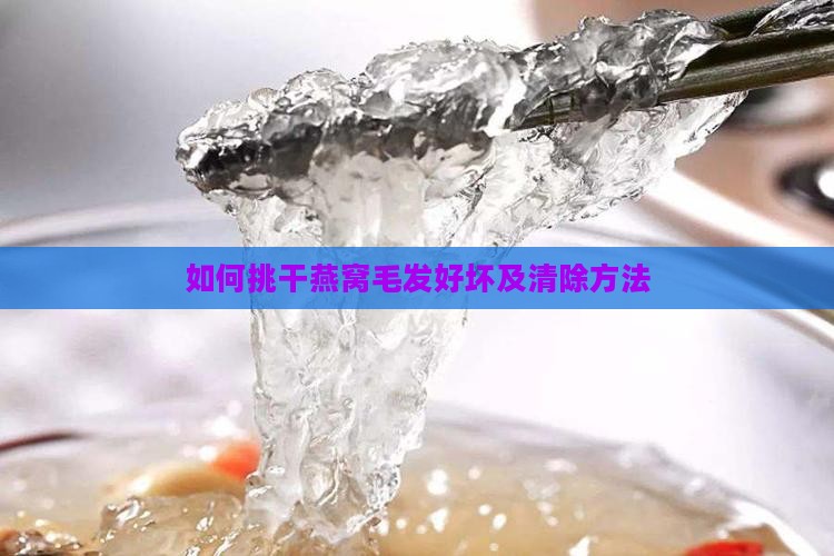 如何挑干燕窝毛发好坏及清除方法