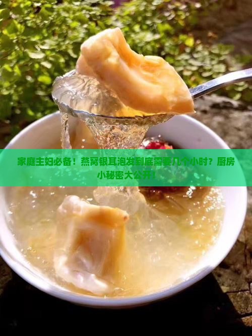 家庭主妇必备！燕窝银耳泡发到底需要几个小时？厨房小秘密大公开！