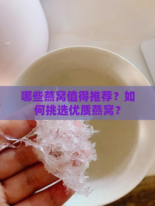 哪些燕窝值得推荐？如何挑选优质燕窝？
